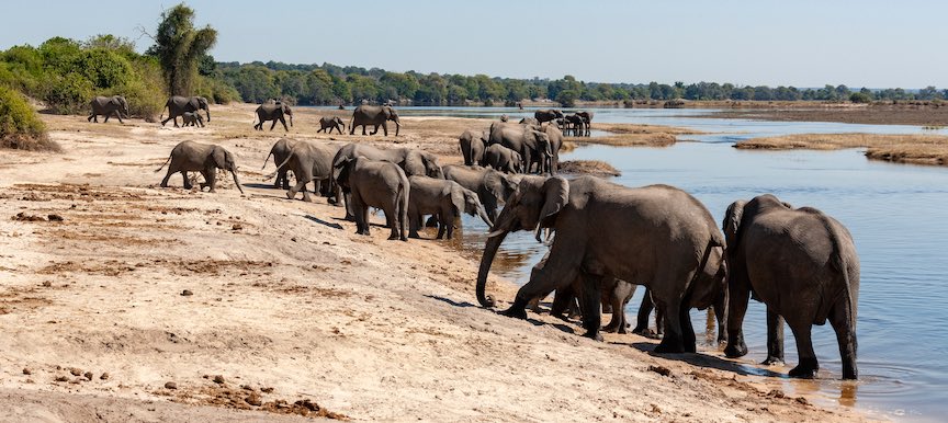 Gambia River