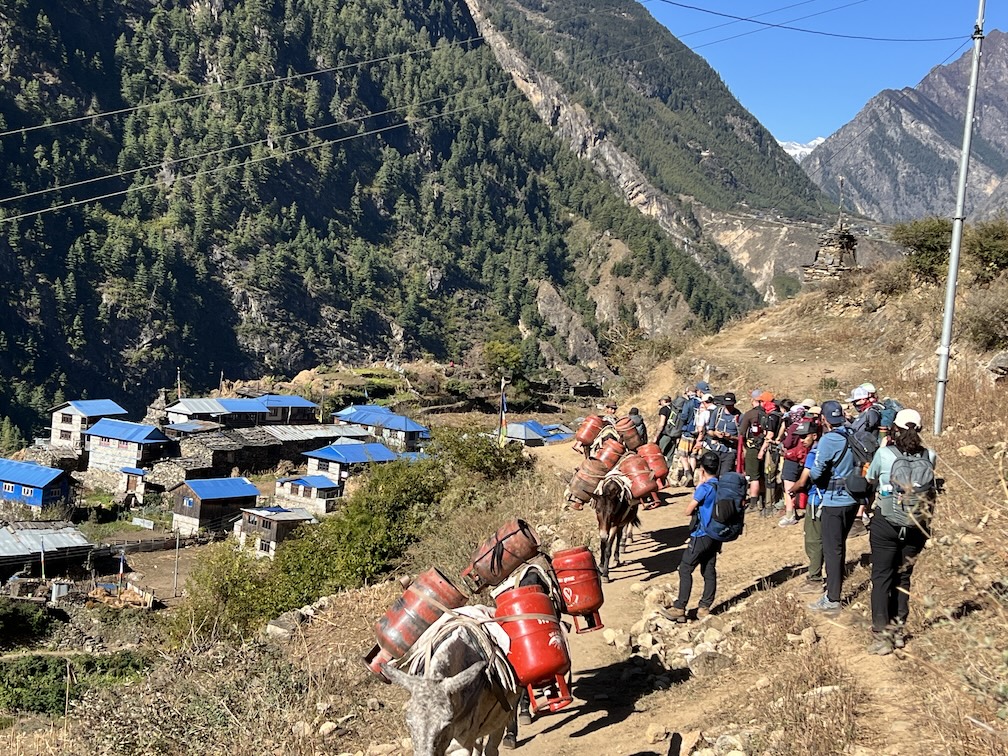 A mule train carrying gas cylinders passes trekkers on the trail above a village on the Manaslu Circuit