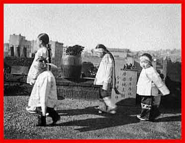 The Chinese Exclusion Act